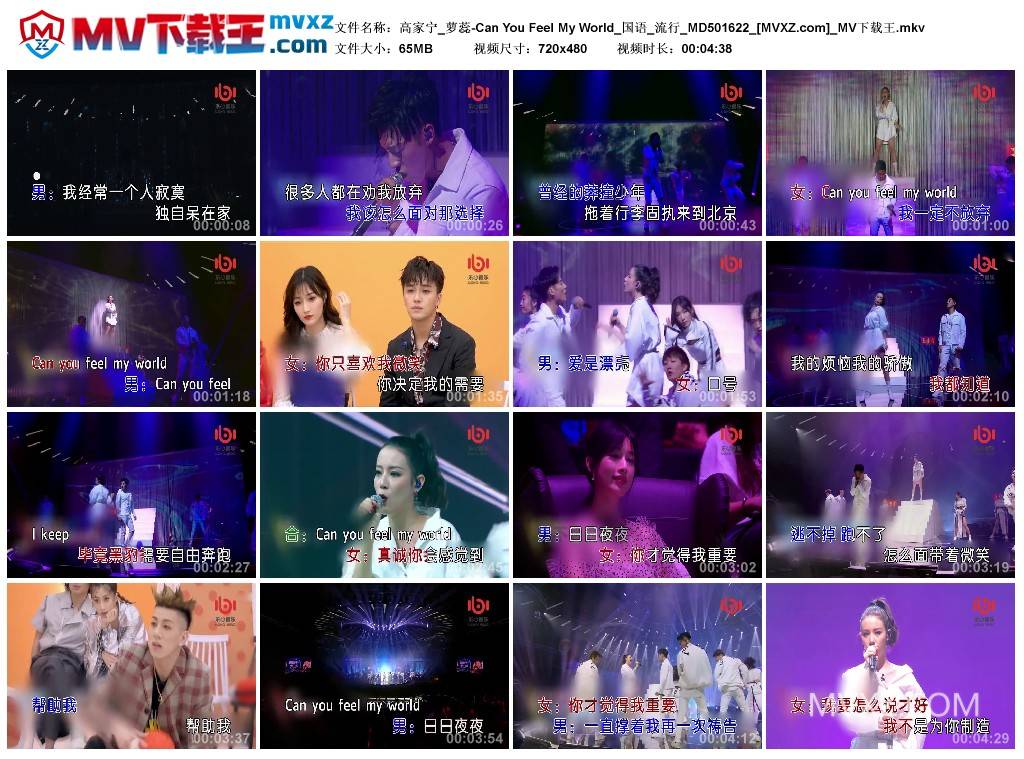 高家宁_萝蕊-Can You Feel My World_国语_流行_MD501622